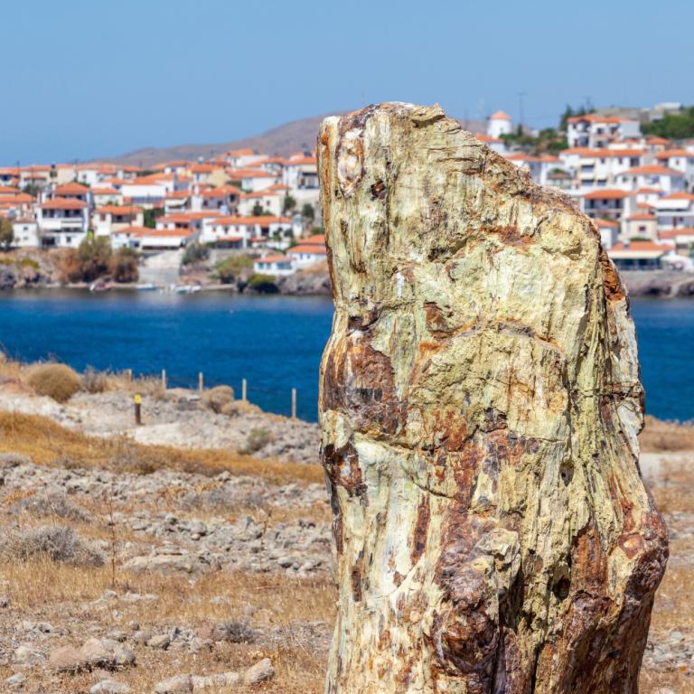 Γιατί η Μυτιλήνη είναι must προορισμός για διακοπές