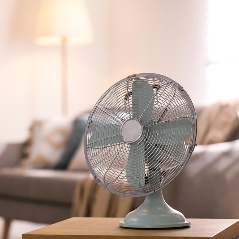 Φωτογραφία: Shutterstock