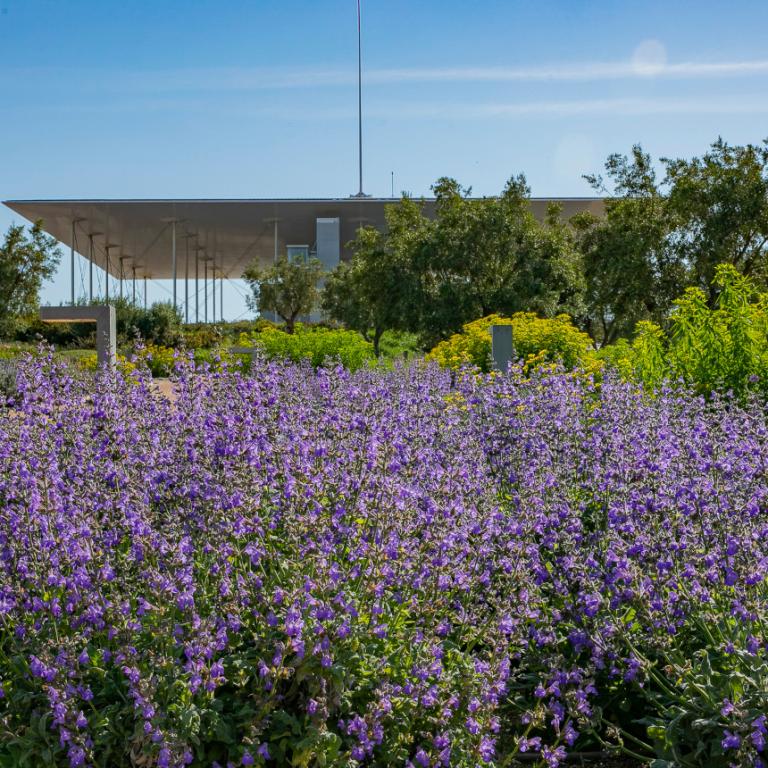Πρωτομαγιά στο ΚΠΙΣΝ