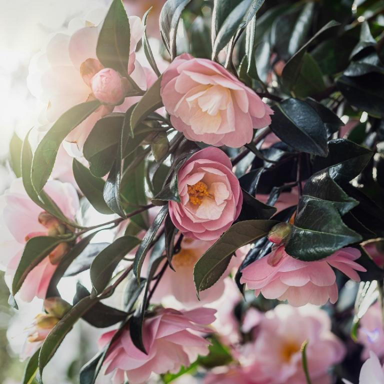 Φωτογραφία Unsplash