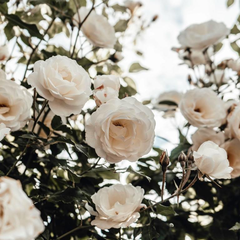 Φωτογραφία Unsplash