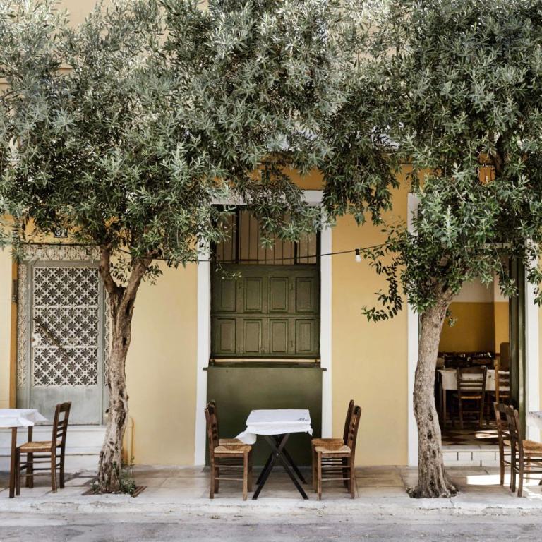 Φαγητό κάτω από ελαιόδεντρα