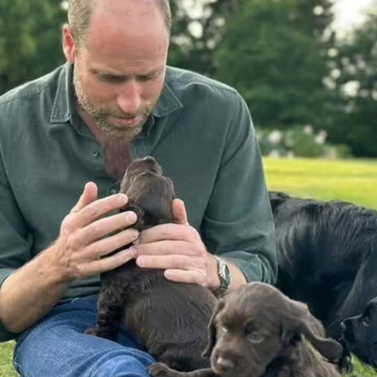 Ο πρίγκιπας Ουίλιαμ έκλεισε τα 43 /Φωτογραφία: Kensington Palace/Princess of Wales