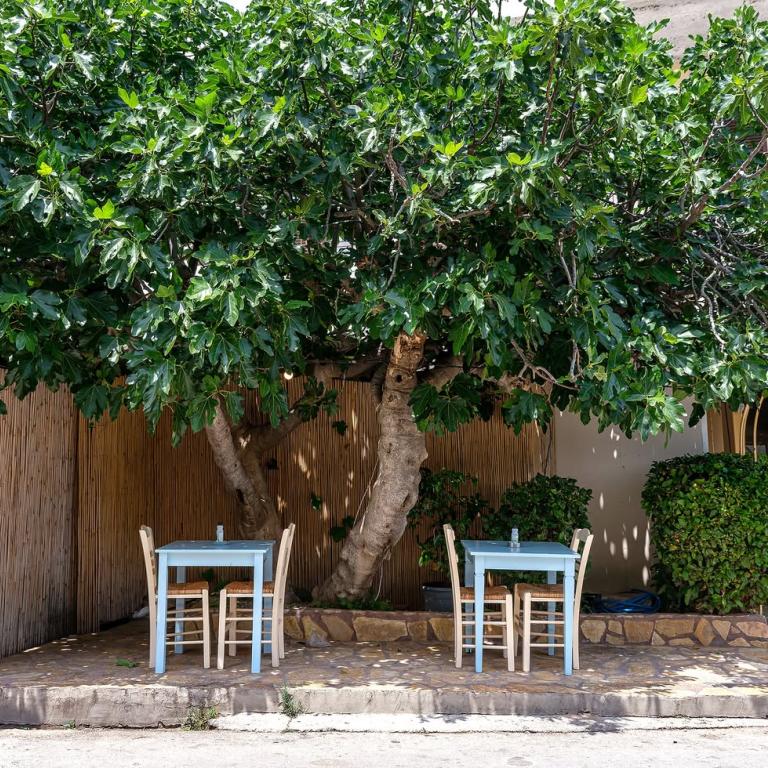 Φωτογραφία Instagram/Θεόδωρος και Ελένη