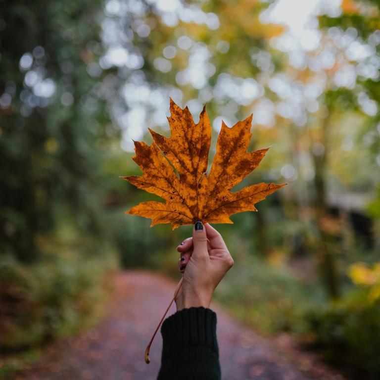 Φθινόπωρο/Φωτογραφία Unsplash