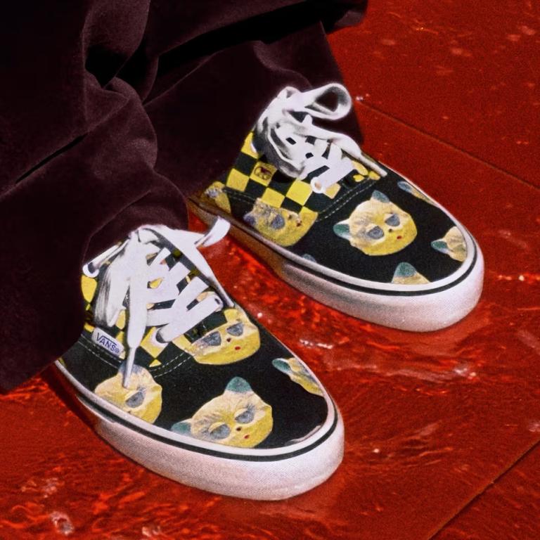Valentino x Vans