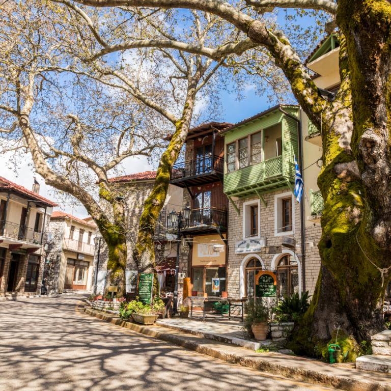 Ανδρίτσαινα / Φωτογραφία: Shutterstock