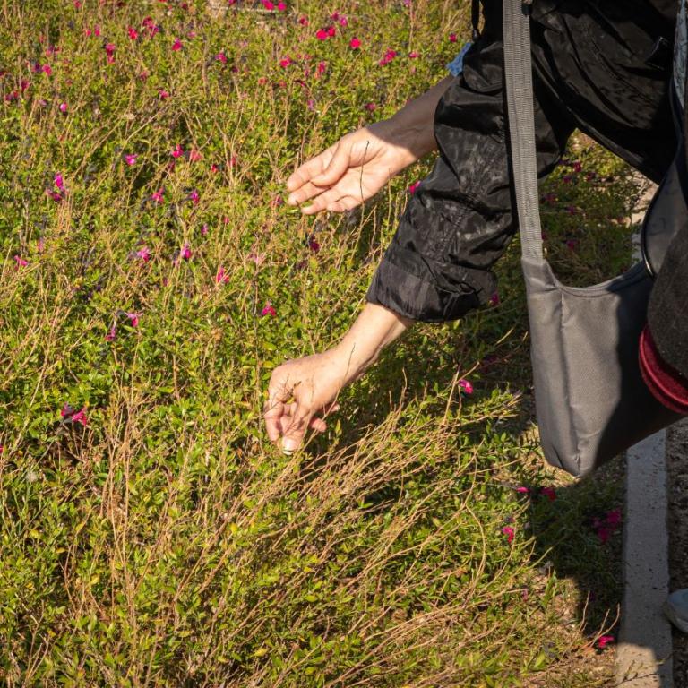 Θεατρικό εργαστήριο για άτομα 65+ με ήπια άνοια
