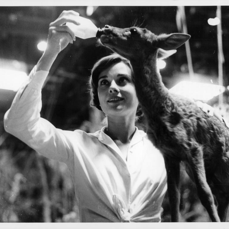 Η Audrey Hepburn ταΐζει το ελάφι της 