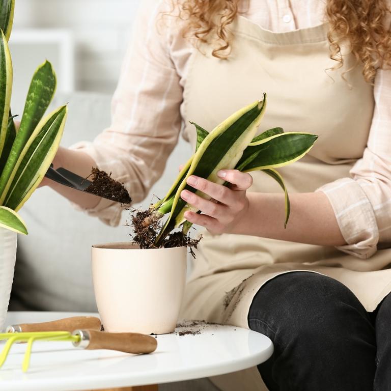 Φωτογραφία Shutterstock 