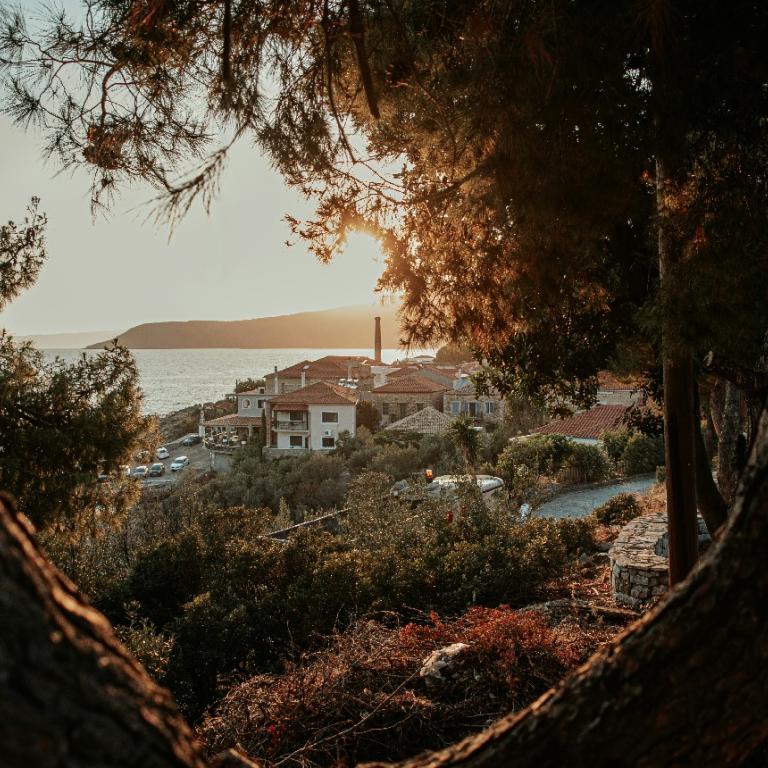 Καρδαμύλη/Φωτογραφία Unsplash 