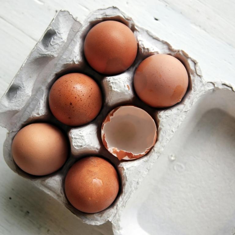 Θήκες από αυγά/Φωτογραφία Unsplash 