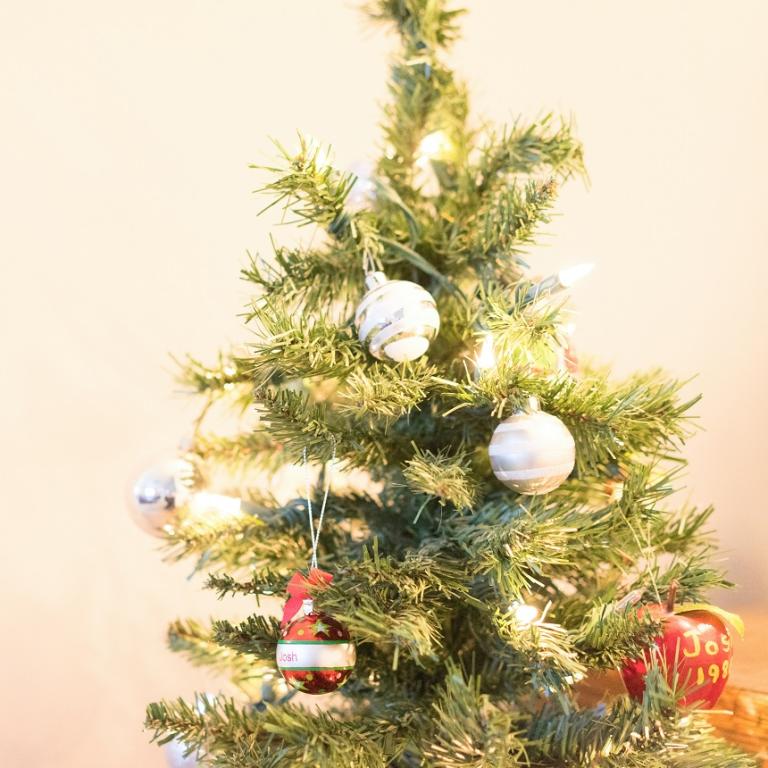 Χριστουγεννιάτικο δέντρο/Φωτογραφία Unsplash