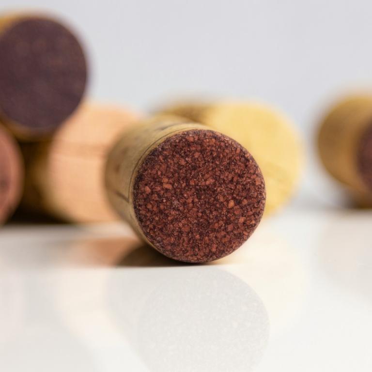 Φελλοί στο ψυγείο/Φωτογραφία Unsplash 