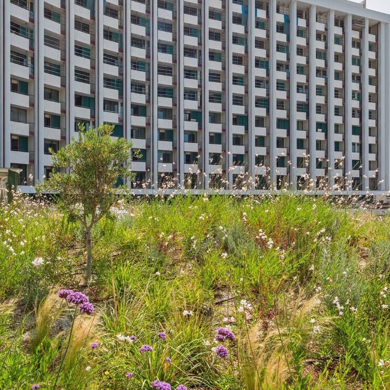 The Ilisian: Το εντυπωσιακό πράσινο rooftop που αλλάζει το πρόσωπο της Αθήνας