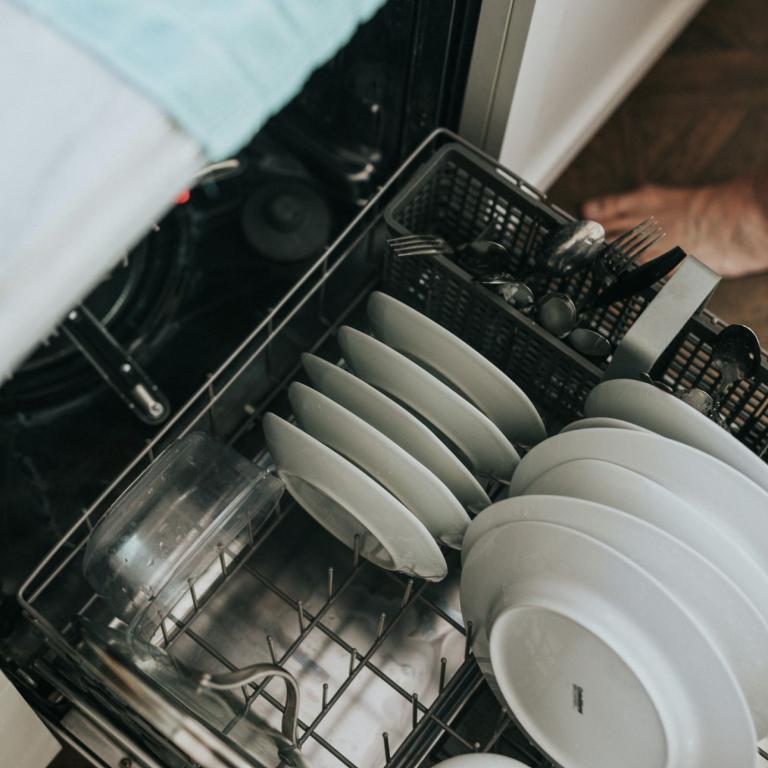 Πώς θα γλιτώσετε χρήματα στο πλυντήριο πιάτων