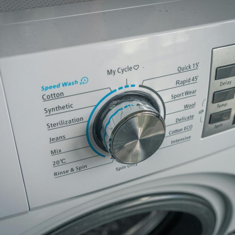 Ρυθμίσεις σε πλυντήριο