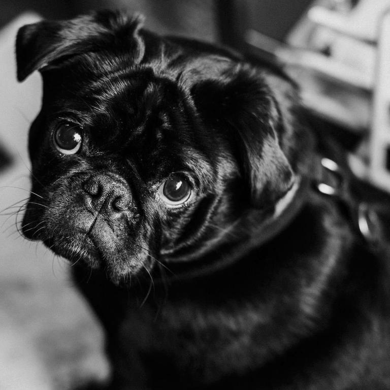 Γιατί κάποιοι ζητούν συνεχώς συγγνώμη -Ακόμα κι όταν δεν έχουν κάνει τίποτα λάθος;