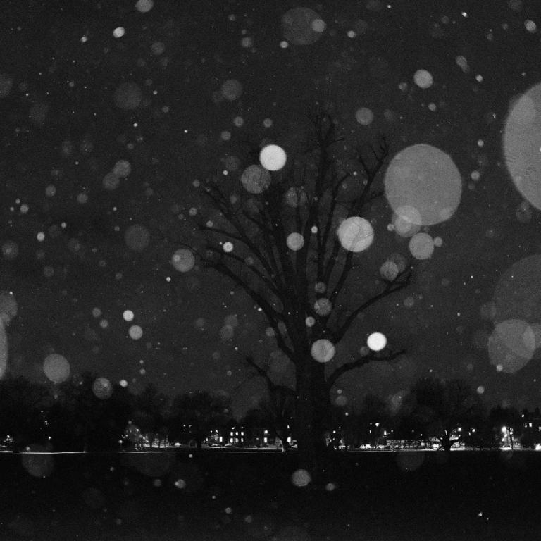 ζώδια Δεκέμβριος