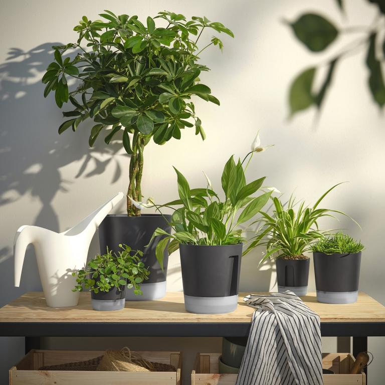 Γλάστρες/Φωτογραφία IKEA 