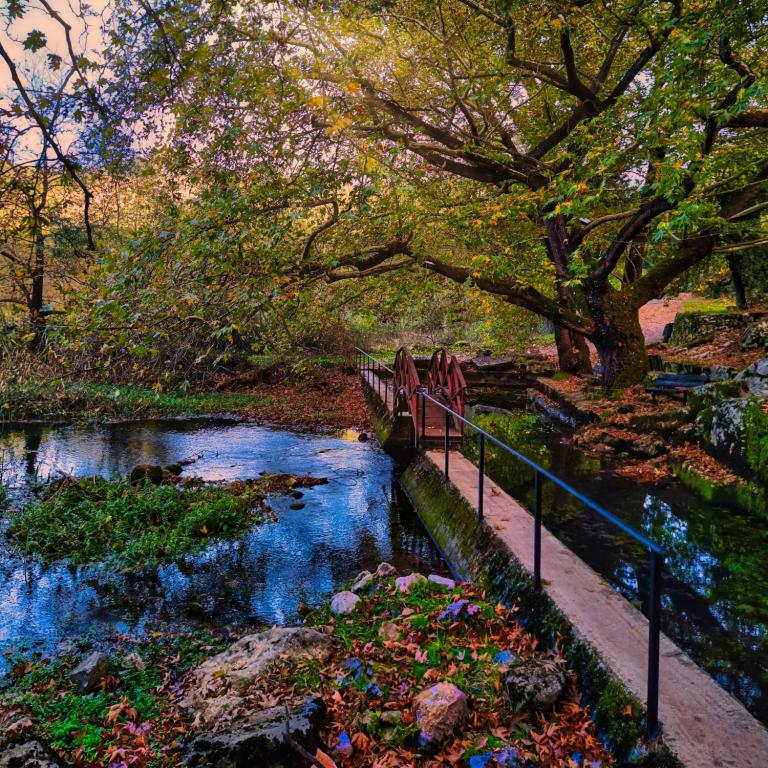 Πολύδροσος: Το χωριό στους πρόποδες του Παρνασσού για τη χριστουγεννιάτικη μονοήμερη της τελευταίας στιγμής