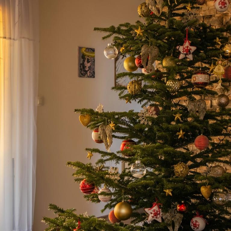 Στολίδια σε δέντρο/Φωτογραφία Unsplash 