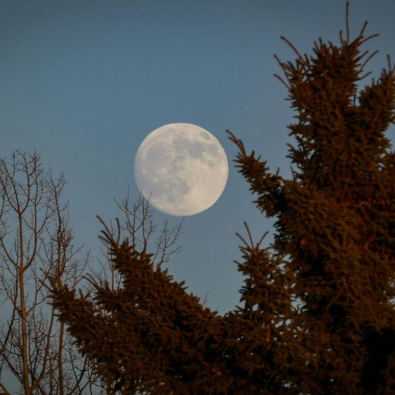 Πανσέληνος 