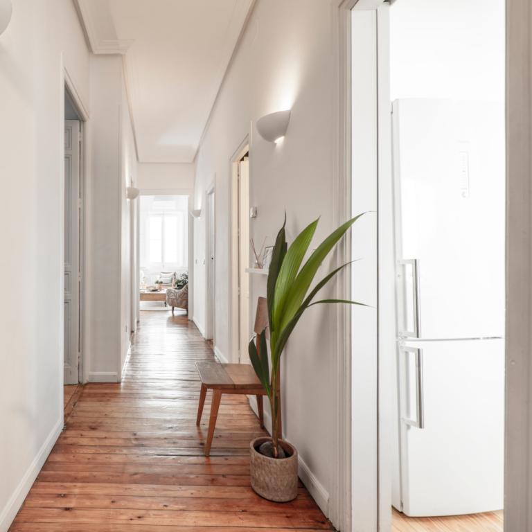 Γιατί, σύμφωνα με το Φενγκ Σούι, αυτό το αρωματικό φυτό αξίζει μια θέση στην είσοδό σας