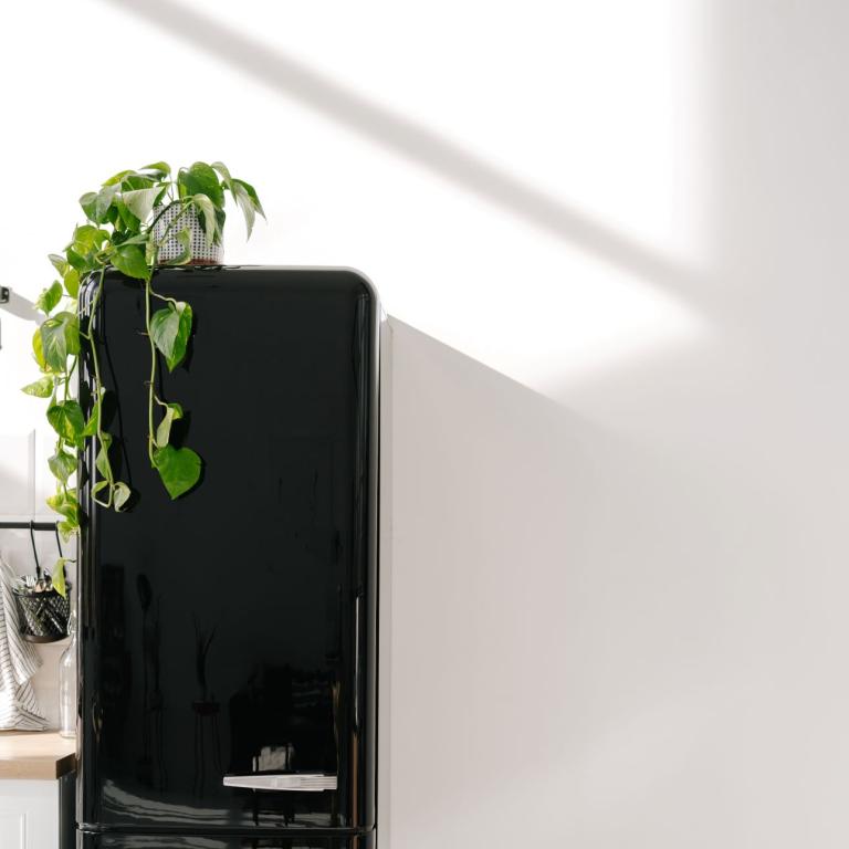 Γιατί να βάζουμε φυτά πάνω στο ψυγείο