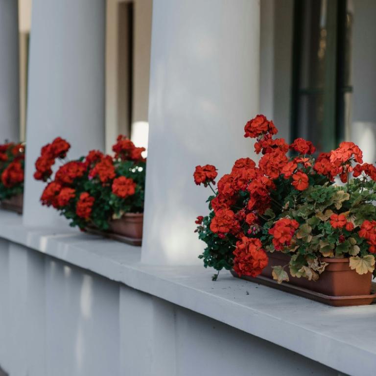 Φωτογραφία Unsplash 