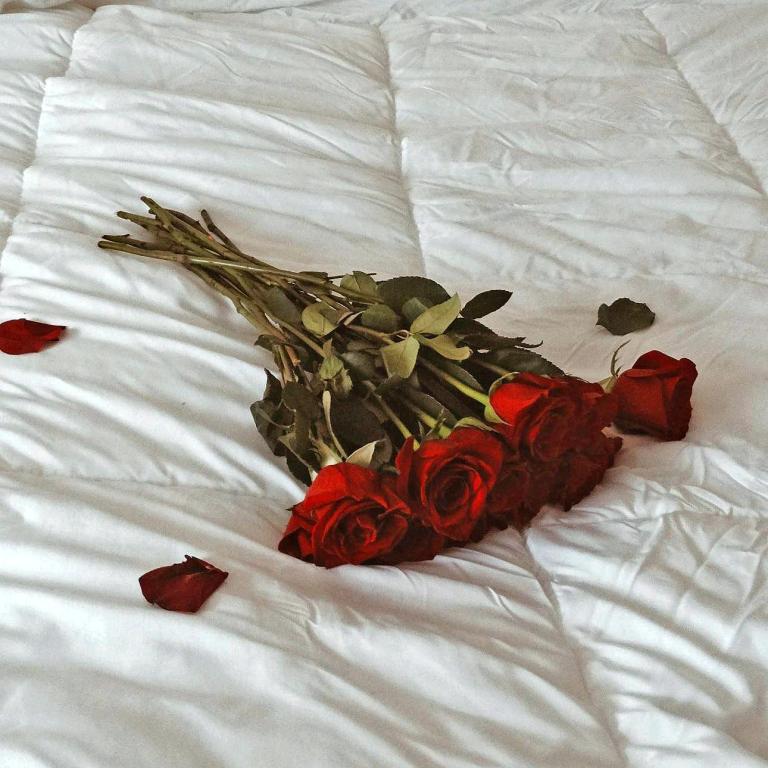 Κόκκινα τριαντάφυλλα/Φωτογραφία Unsplash 