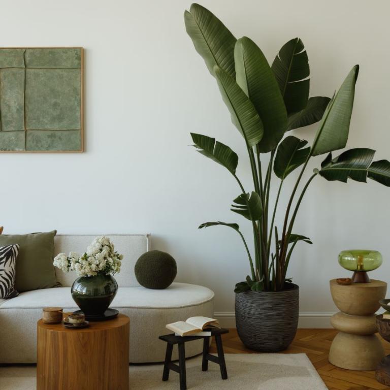 Τα αγαπημένα φυτά των διακοσμητών