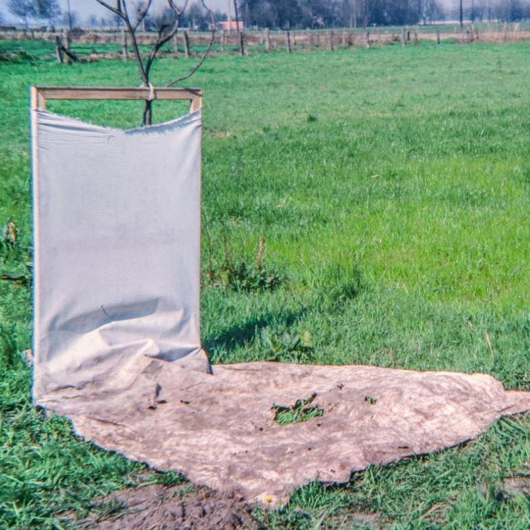 Εκθέσεις στο ΕΜΣΤ