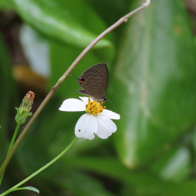 Φωτογραφία: Shutterstock