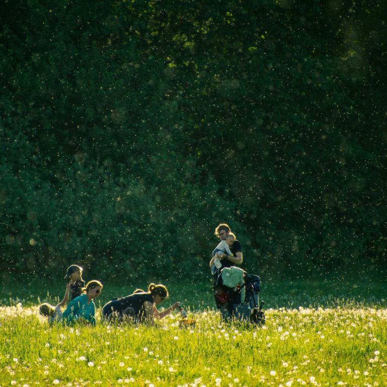 Άτομα που κάθονται στο γρασίδι την άνοιξη