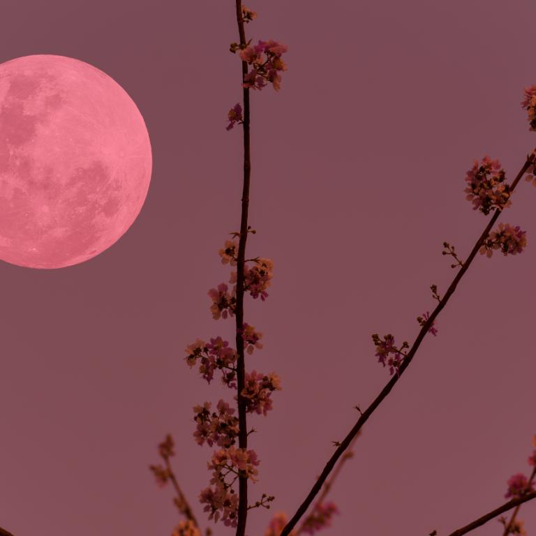 Ροζ Φεγγάρι Απριλίου 