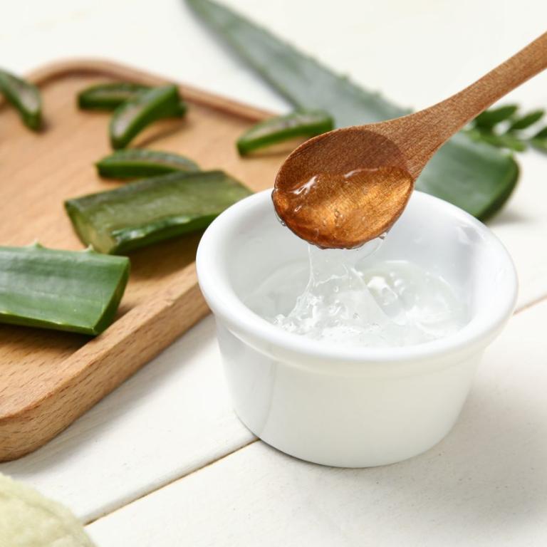 H αλόη βέρα είναι πλούσια σε ενυδατικά και καταπραϋντικά συστατικά