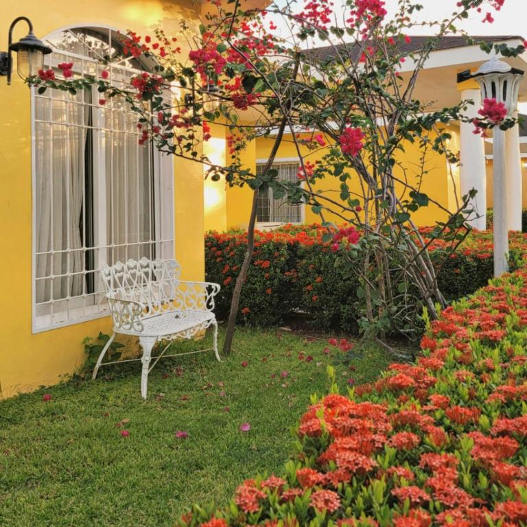 κήπος σπιτιού με λουλούδια