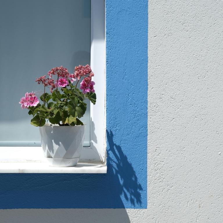 Φωτογραφία Pexels 