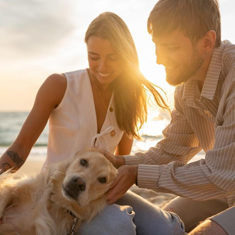 Φωτογραφία : Shutterstock