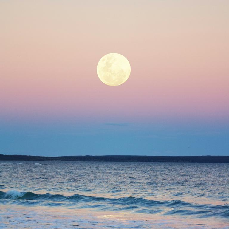 Φωτογραφία:unsplash