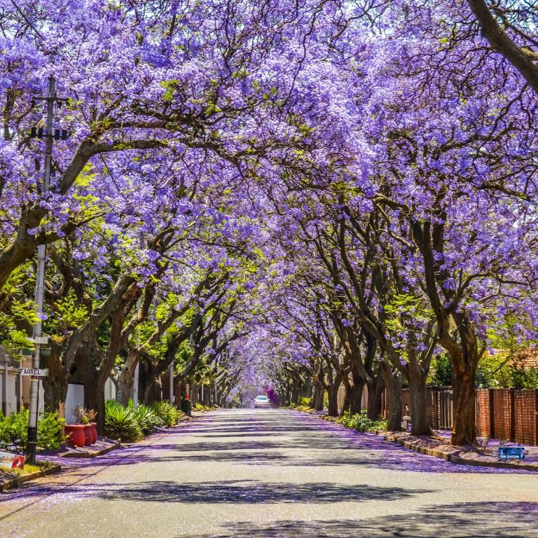 Φωτογραφία: shutterstock