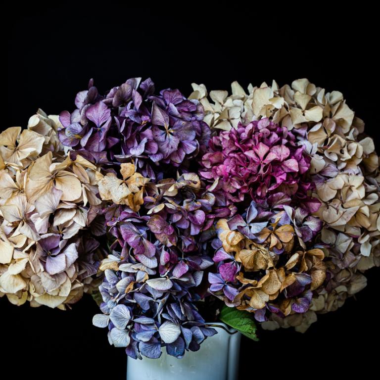 Φωτογραφία: Shutterstock