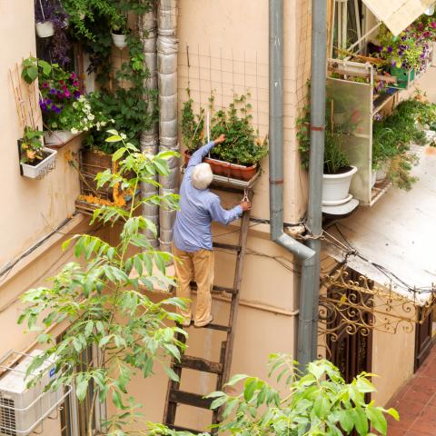 Τα μυστικά της μακροζωίας