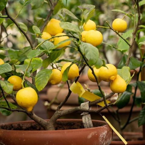 Φωτογραφία: Shutterstock