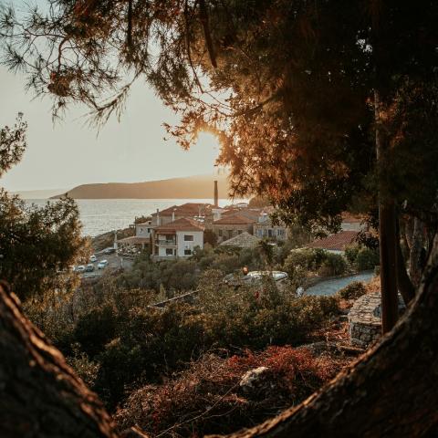Καρδαμύλη/Φωτογραφία Unsplash 