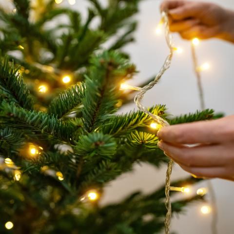 Πώς να τοποθετήσετε τα φωτάκια του χριστουγεννιάτικου δέντρου -Το αλάνθαστο κόλπο για να το διακοσμήσετε χωρίς μπερδέματα