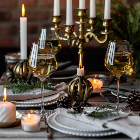 Τα πιο όμορφα φυτά για δώρο αν είστε καλεσμένοι σε χριστουγεννιάτικο δείπνο