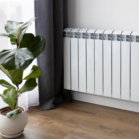 Φυτό κοντά σε καλοριφέρ 