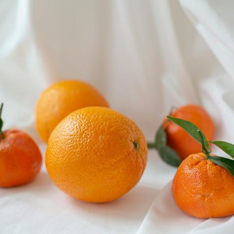 Μανταρίνια - κλημεντίνες/Φωτογραφία Unsplash 